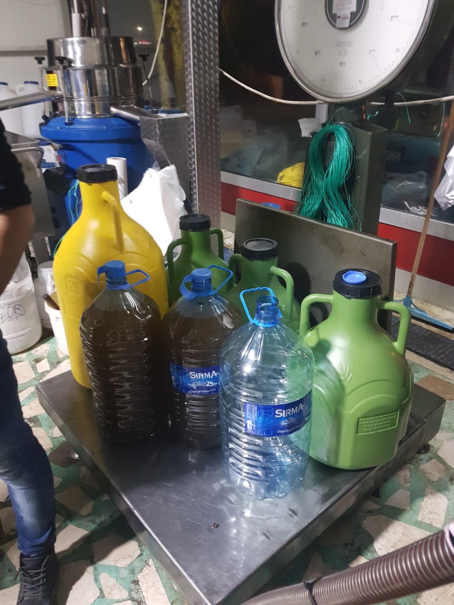 Ünlü Zeytinyağı Fabr. Yeme İçme hizmetleri Manavgat