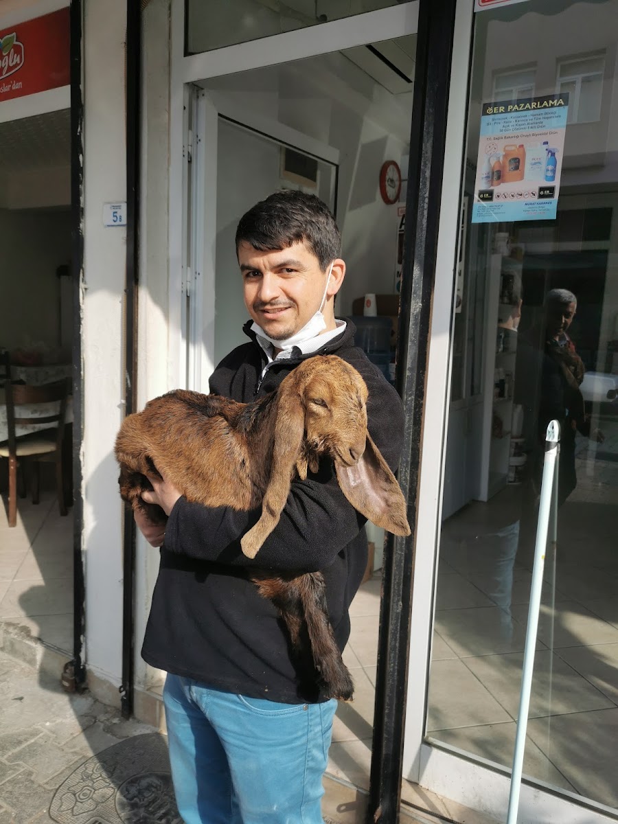 Veteriner Hekimler Akdeniz Veteriner Kliniği — Manavgat Antalya