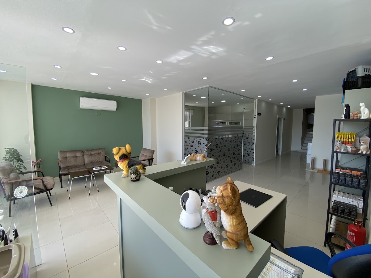 Veteriner Hekimler Ayla Yılmazörs (beril Vet. Klin.) — Manavgat Antalya