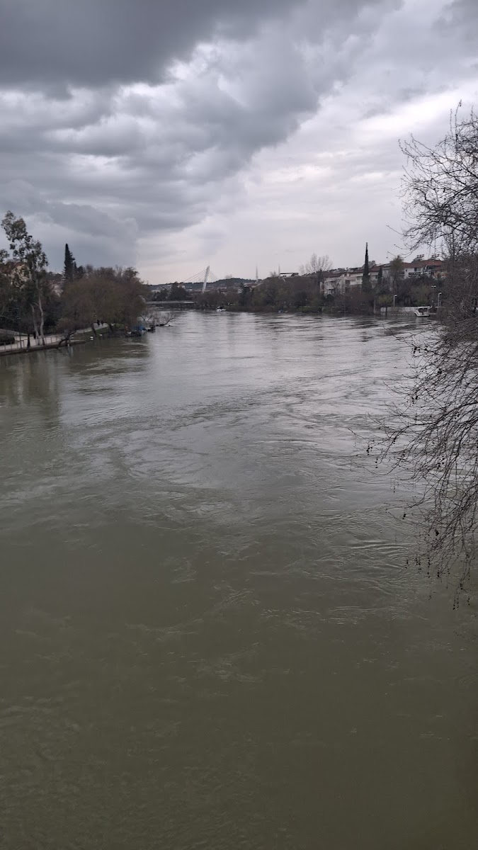 Yıldırım Eczanesi Manavgat