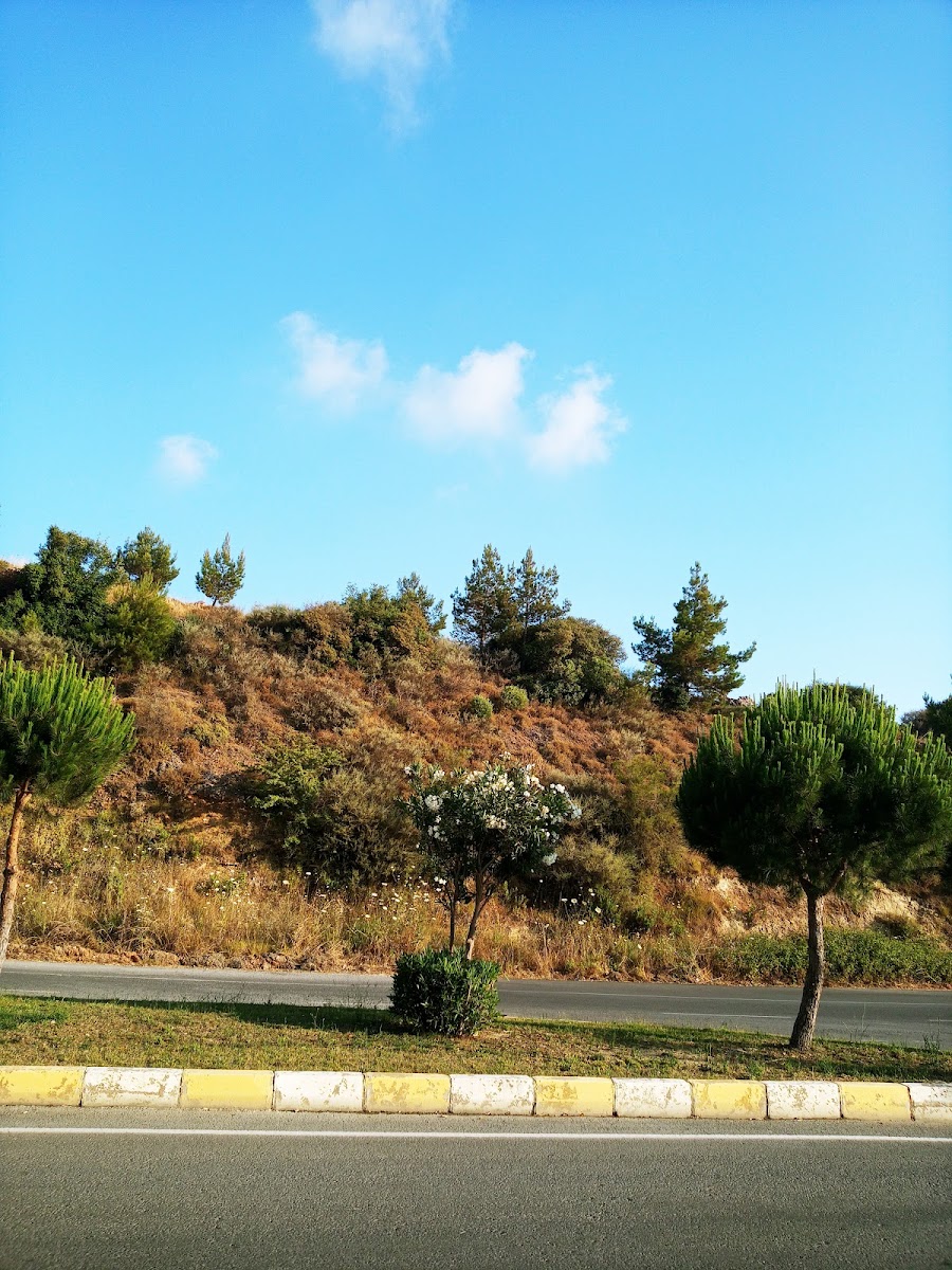 Yörükoğlu Rot Balans Otomotiv Ulaşım hizmetleri Manavgat