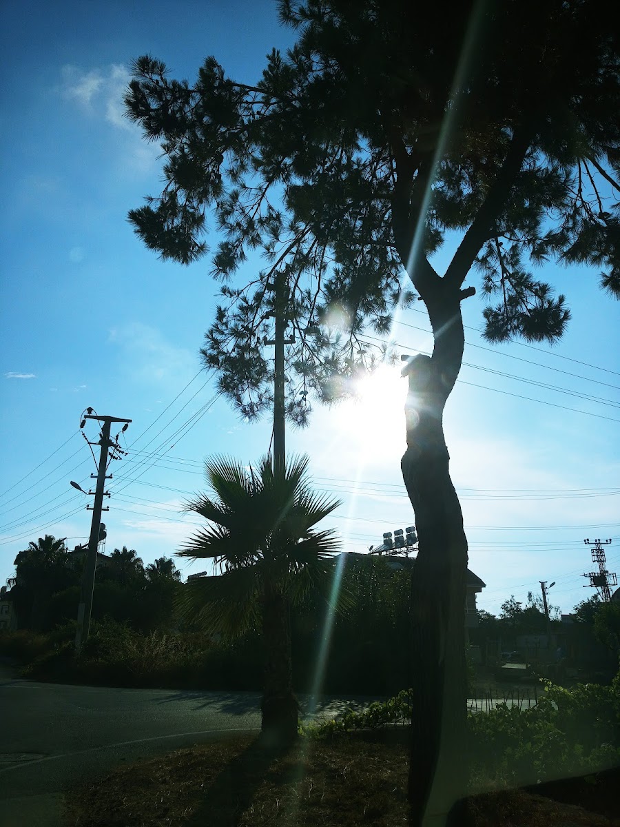 Yörükoğlu Rot Balans Manavgat