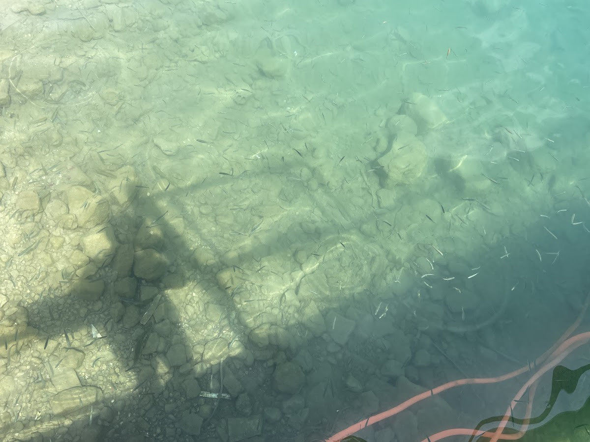 Ada Restaurant – Fotoğraf 9