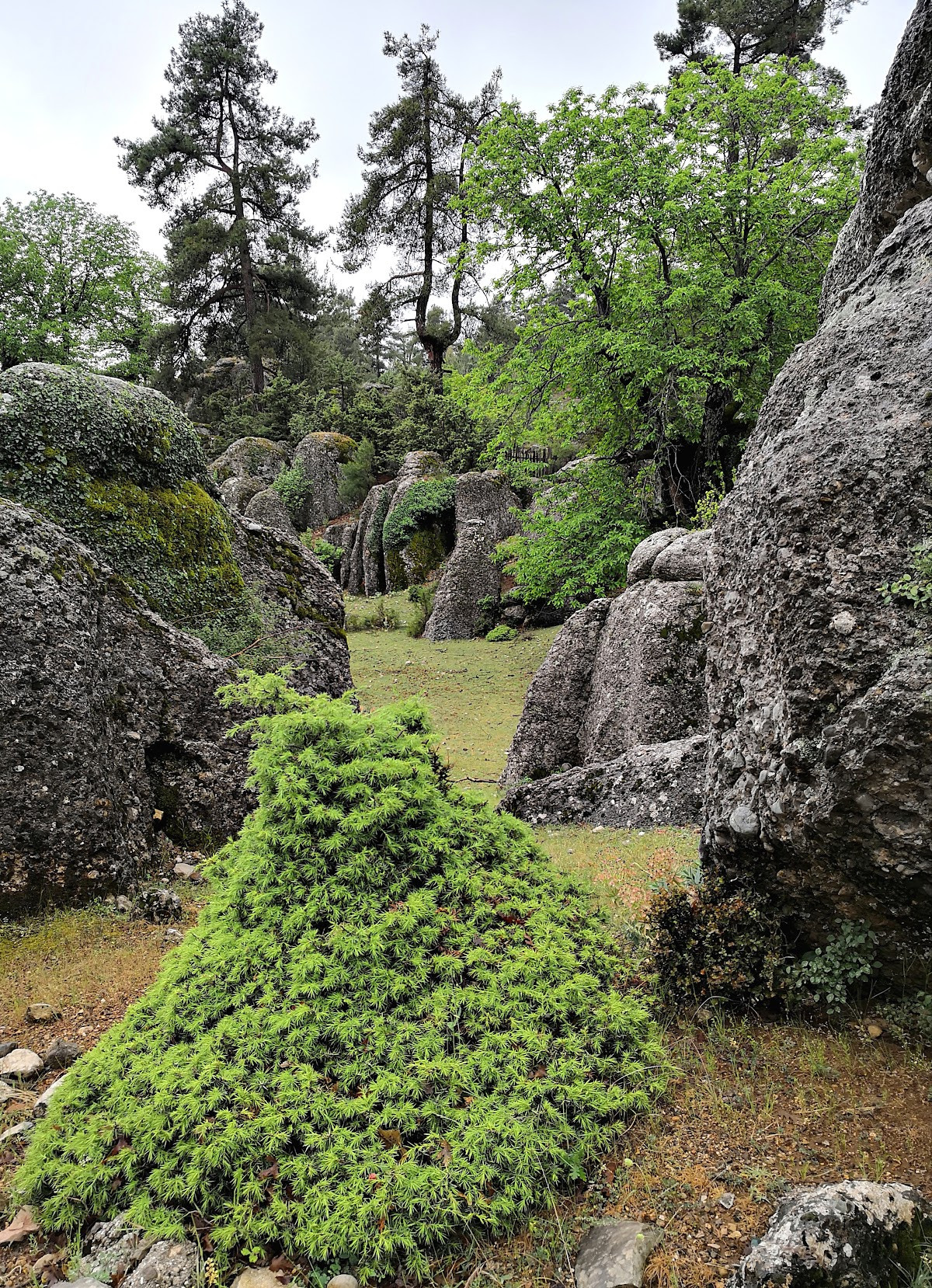 Altınkaya – Fotoğraf 5