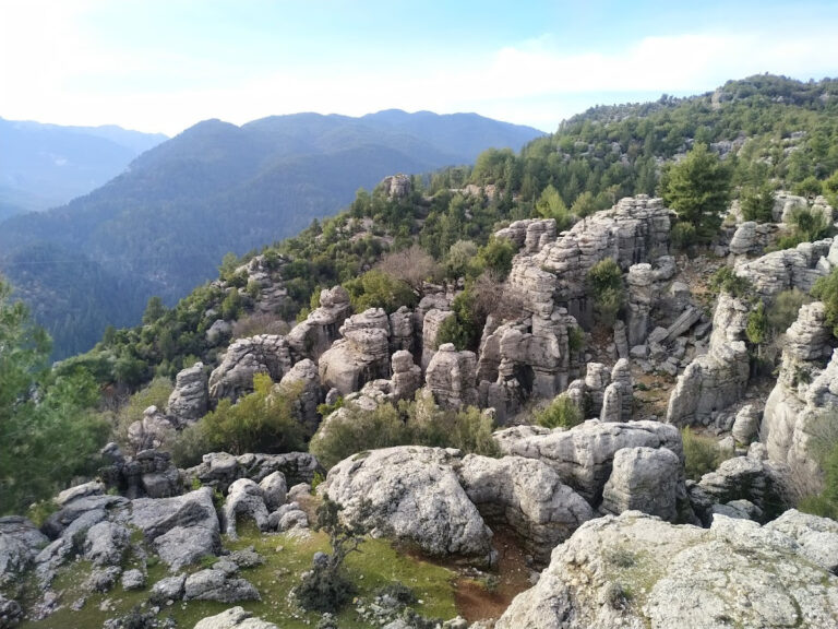 Altınkaya — Manavgat manavgat oto kurtarma