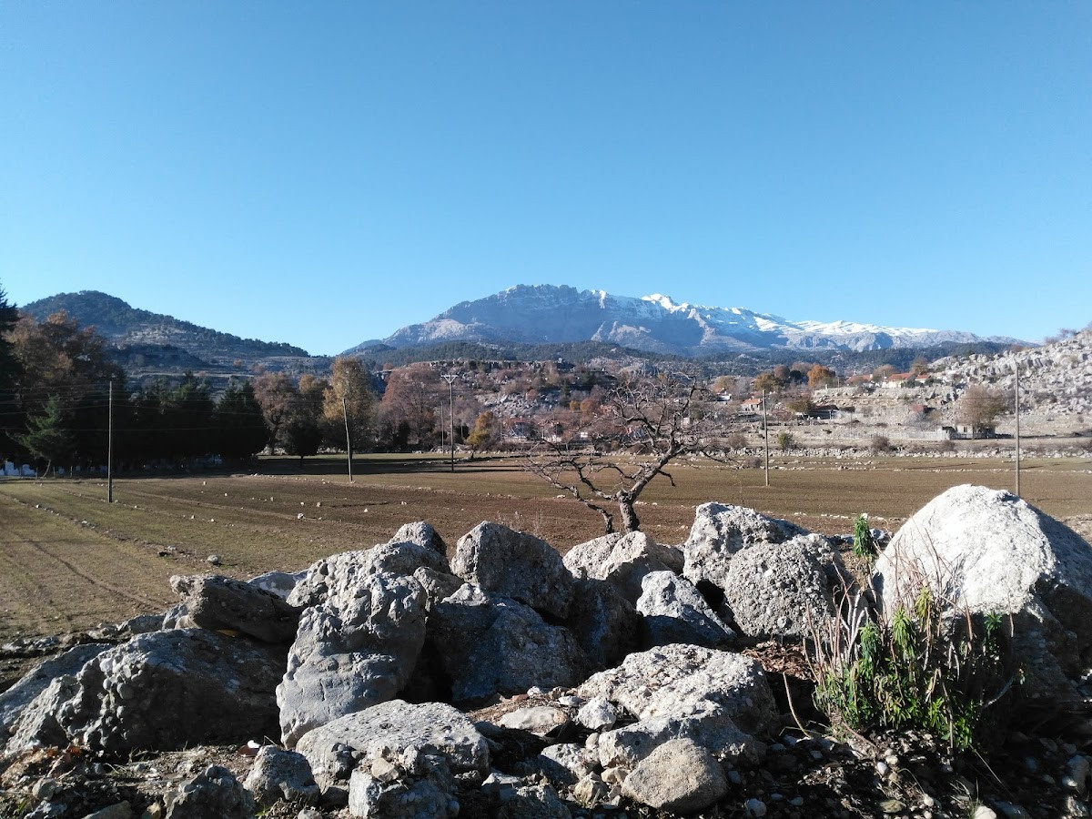 Altınkaya – Fotoğraf 4