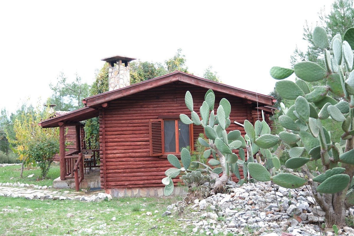 Antalya Bodrum Kayası Dağ Oteli – Fotoğraf 10