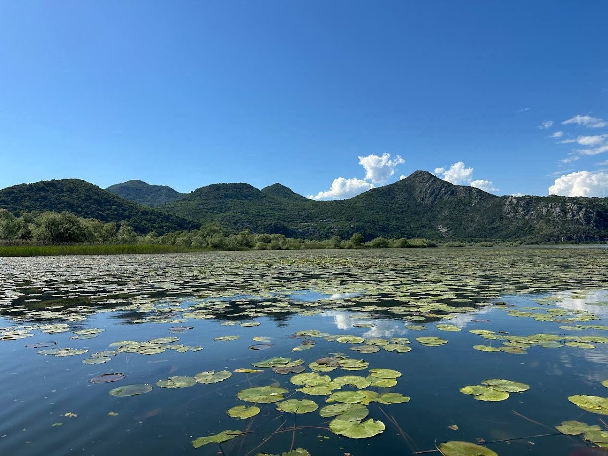 Apartman spa miona – Fotoğraf 3