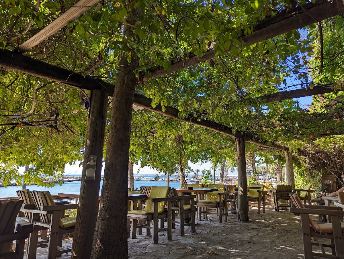 Apollonik Cafe – Fotoğraf 7