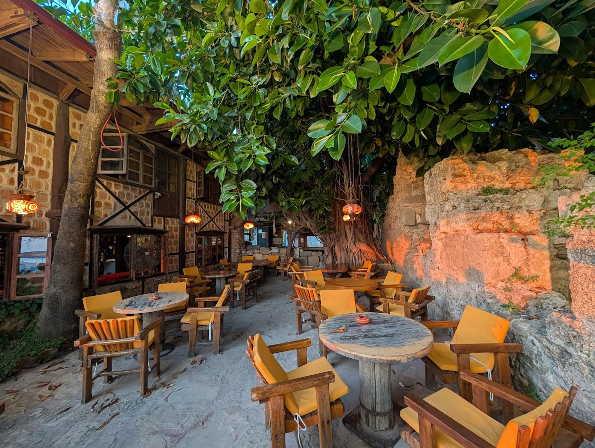 Apollonik Cafe – Fotoğraf 4