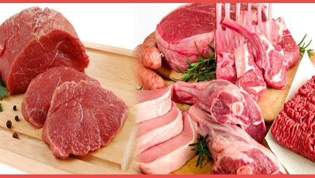 ARSLAN KASAP – Fotoğraf 2