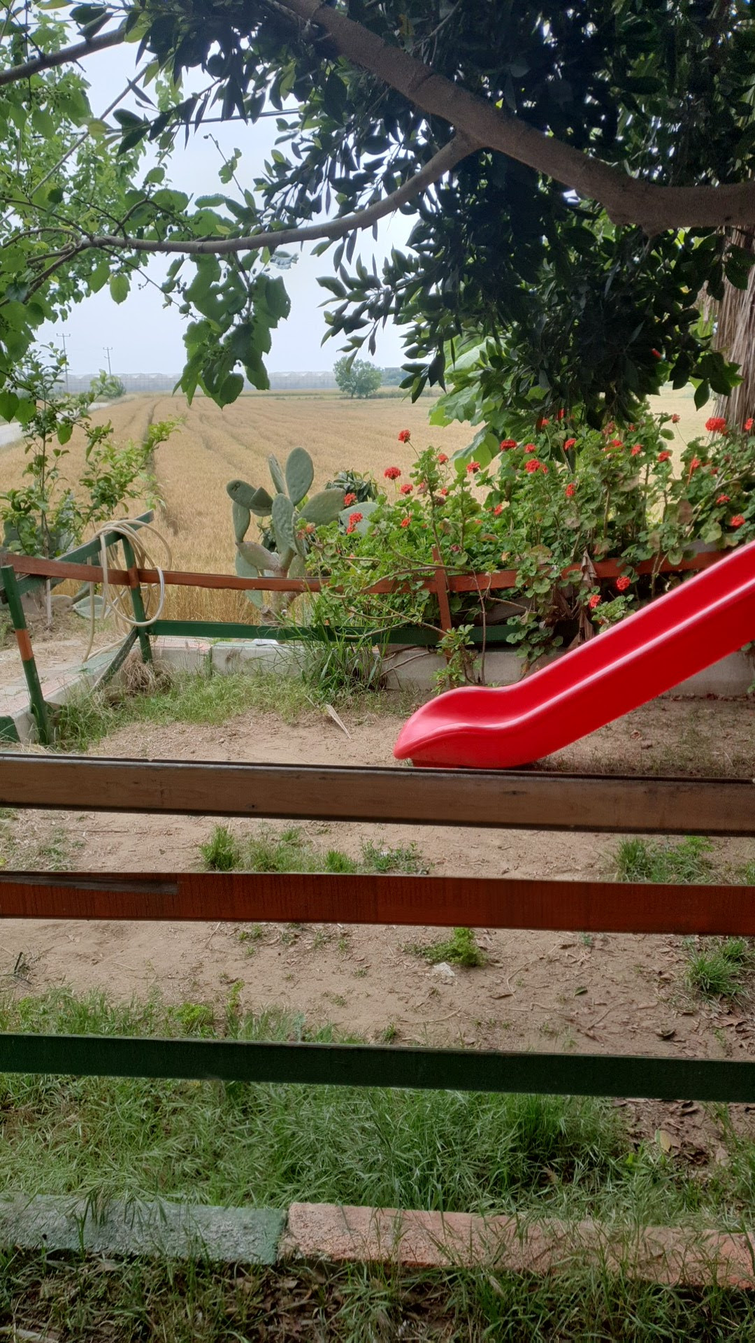 ARTEZYEN ET MANGAL (Veysel'in Yeri) – Fotoğraf 10