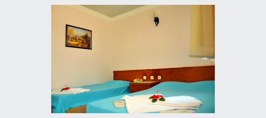 ASLAN PARK BUNGALOW HOTEL – Fotoğraf 8