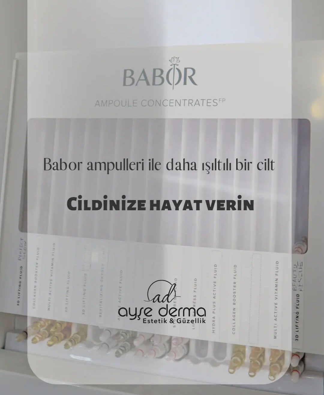 Ayşe Derma – Fotoğraf 3