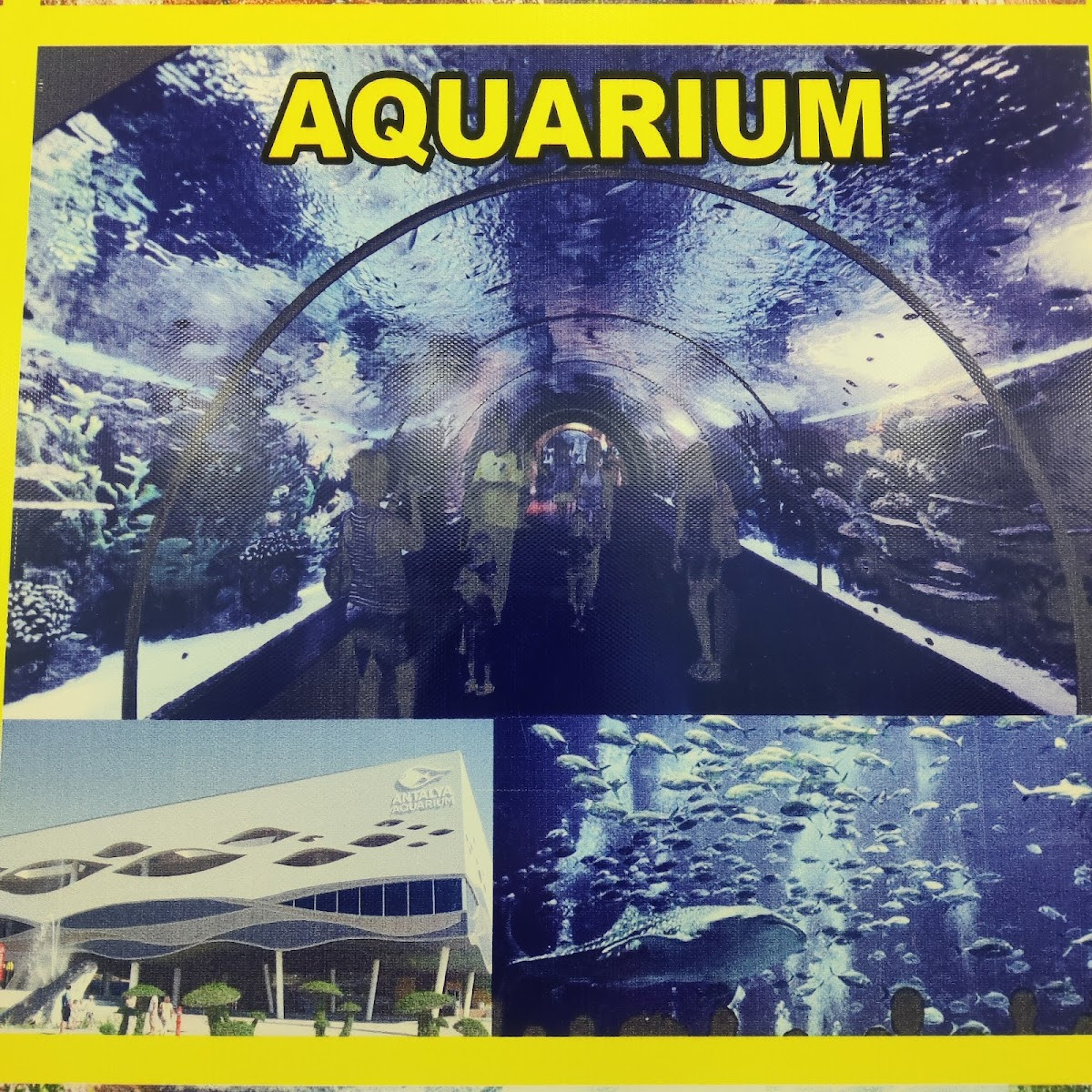 BIG WOLF RENT A CAR EVRENSEKİ – Fotoğraf 6