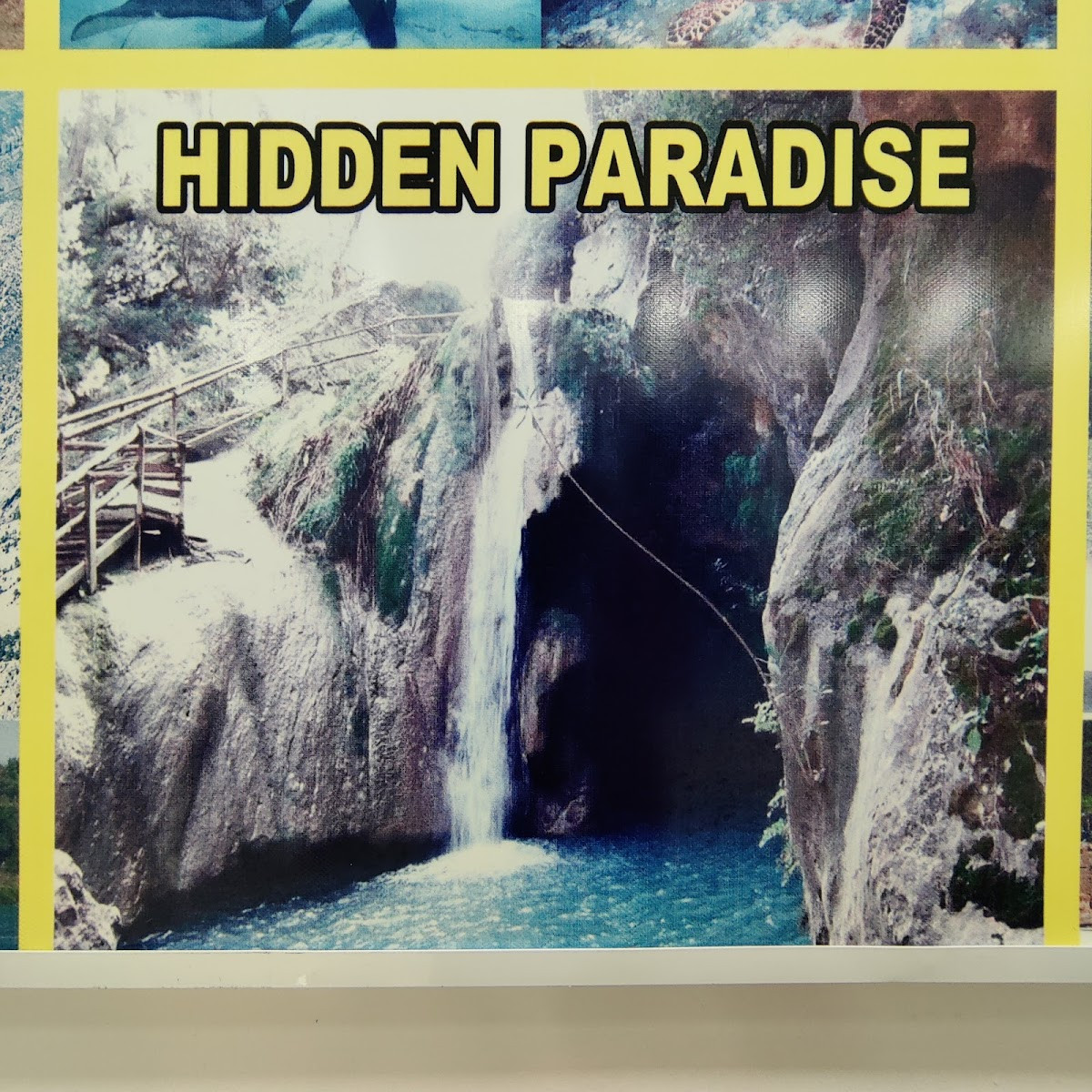 BIG WOLF RENT A CAR EVRENSEKİ – Fotoğraf 4