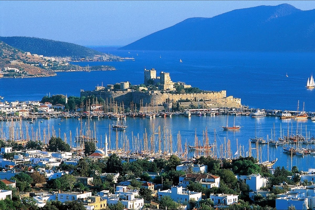 Blue Vip Transfer – Fotoğraf 7