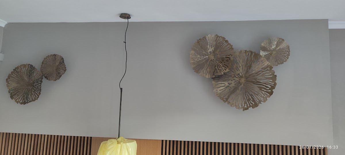 BOYACI RAMAZAN USTA | MANAVGAT – Fotoğraf 3