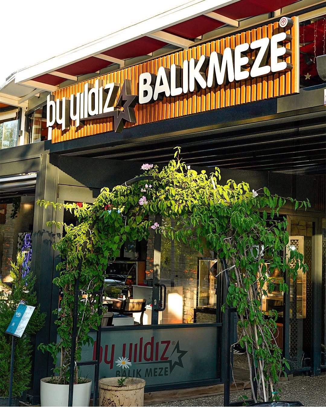 By yıldız balık meze Manavgat – Fotoğraf 1