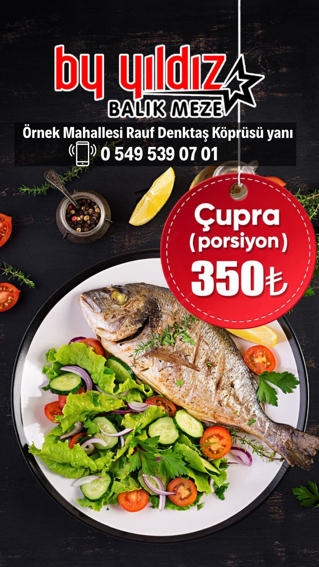 By yıldız balık meze Manavgat – Fotoğraf 4