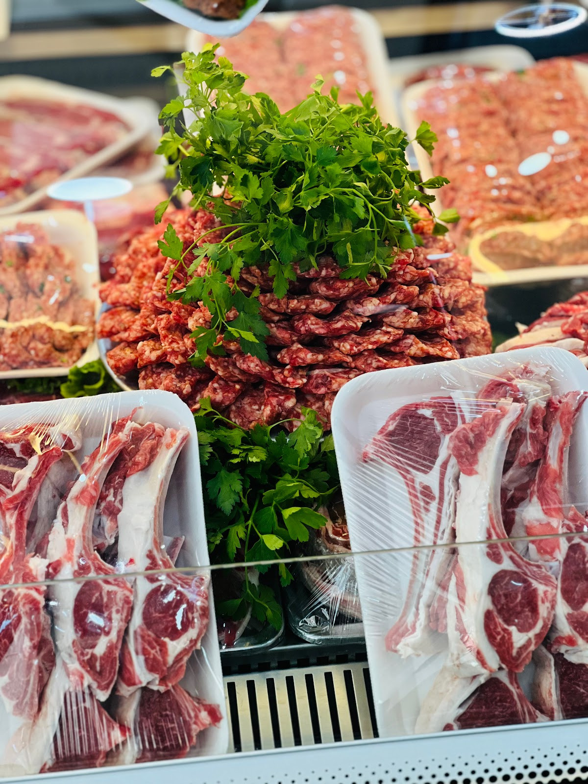 Çağlayan Kasap – Fotoğraf 4