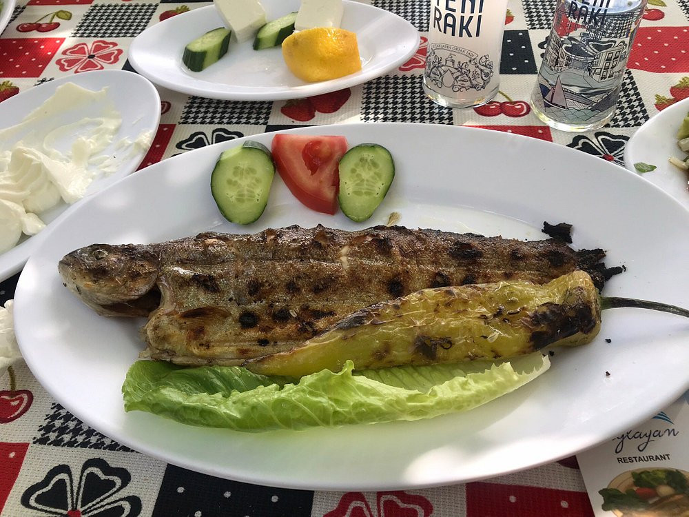ÇAĞLAYAN RESTAURANT MANAVGAT – Fotoğraf 8