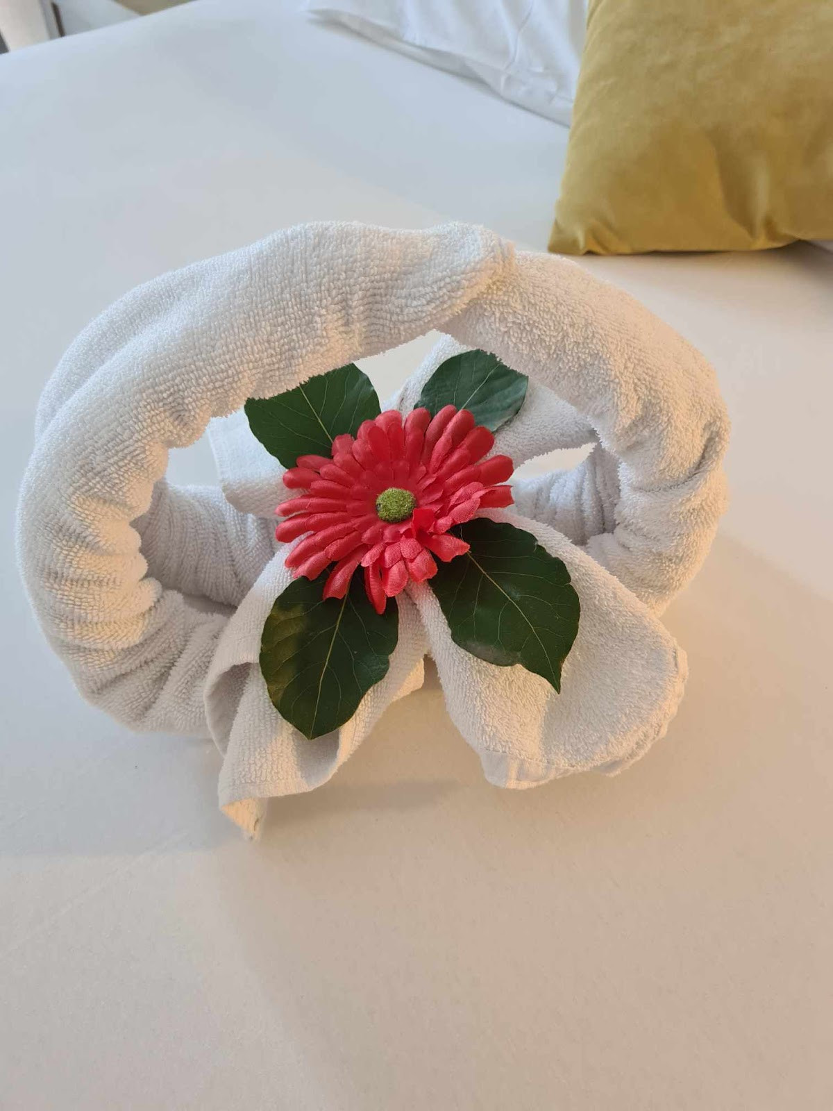 Calimera Hane Garden Hotel – Fotoğraf 10