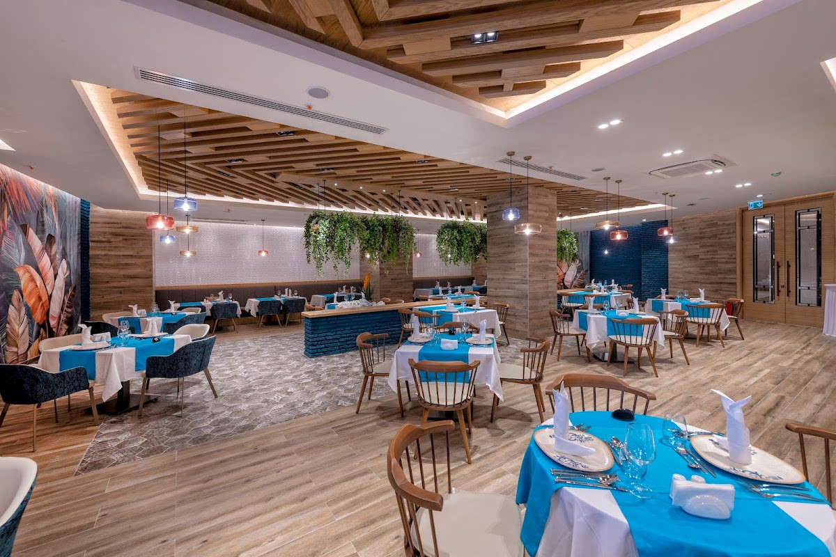 Calyptus Kirman Premium – Fotoğraf 10