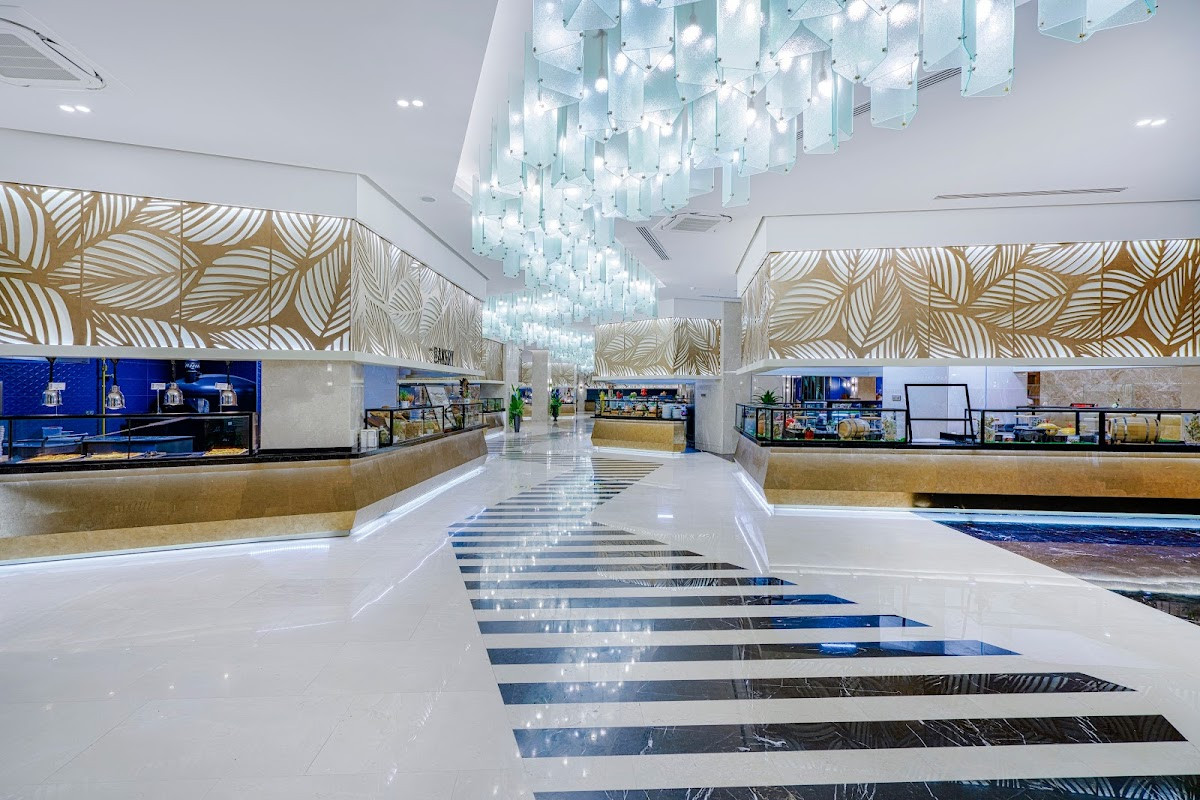 Calyptus Kirman Premium – Fotoğraf 9