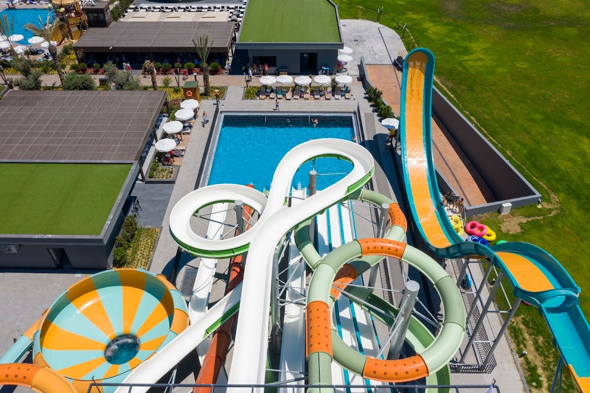 Calyptus Kirman Premium – Fotoğraf 5