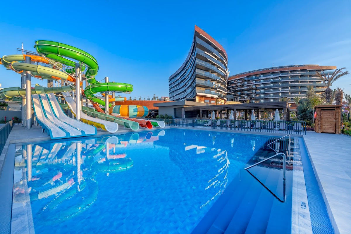 Calyptus Kirman Premium – Fotoğraf 3