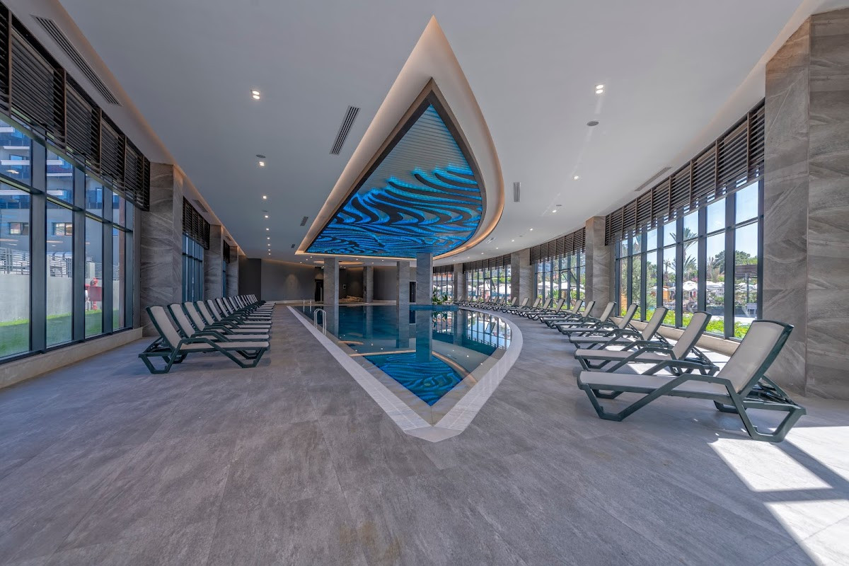 Calyptus Kirman Premium – Fotoğraf 7