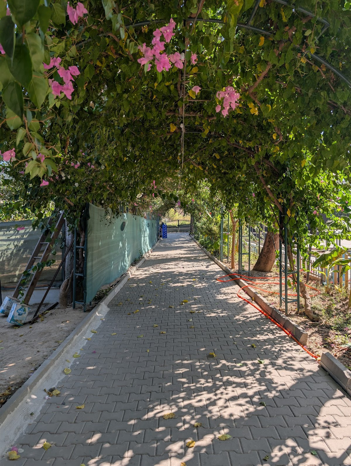 Camekan Restaurant Manavgat – Fotoğraf 8