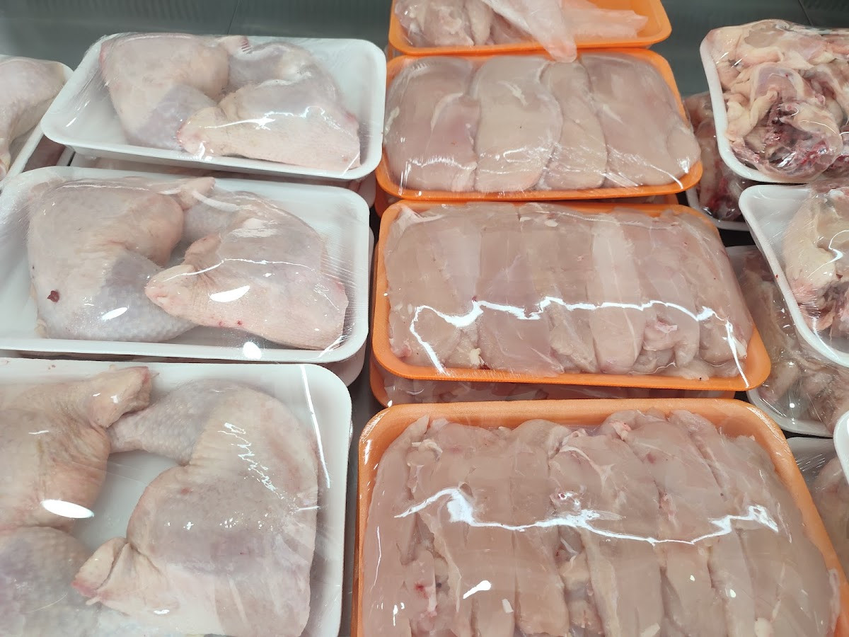 CİHAN TAVUKÇULUK – Fotoğraf 9