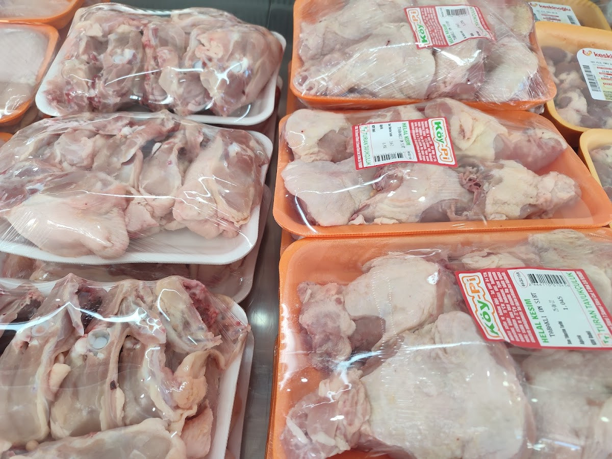 CİHAN TAVUKÇULUK – Fotoğraf 5