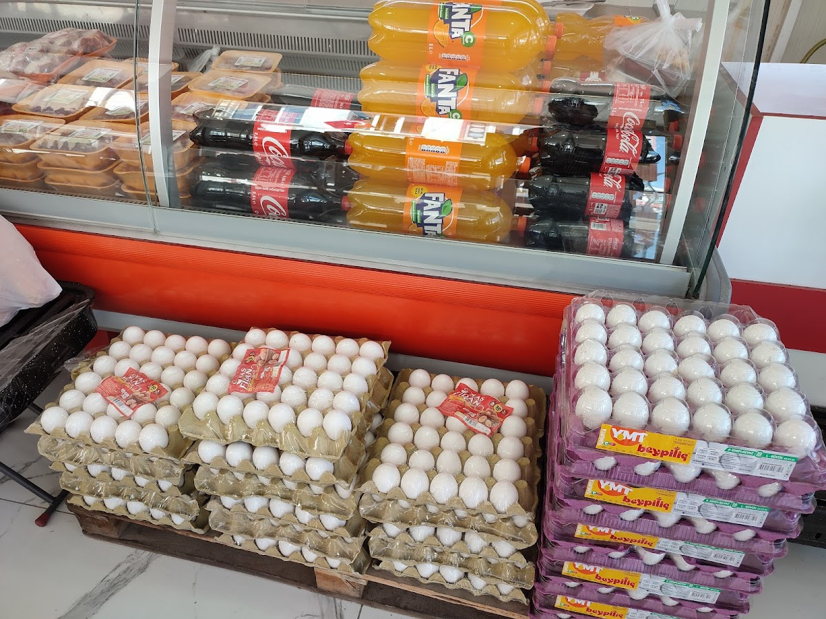 CİHAN TAVUKÇULUK – Fotoğraf 4