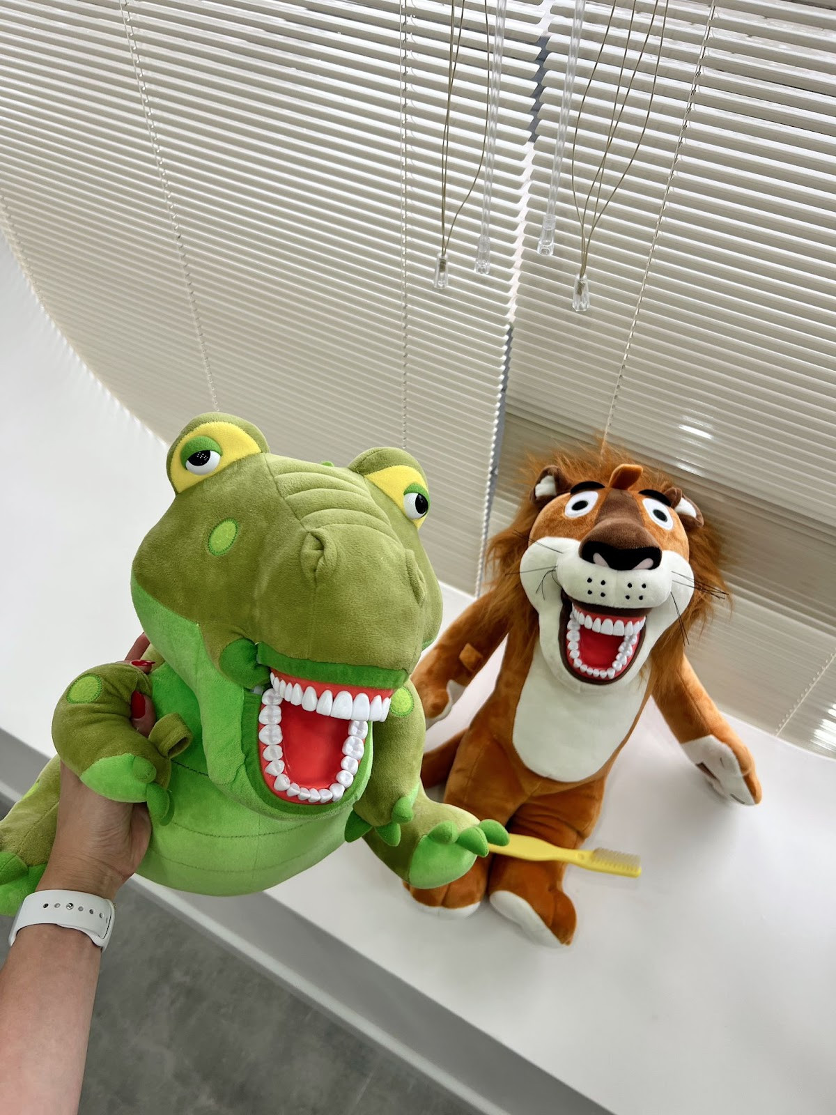 Çocuk Diş Hekimi Uzm. Dt. Ayşe YILDIZ GÜNDÜZ – Fotoğraf 10