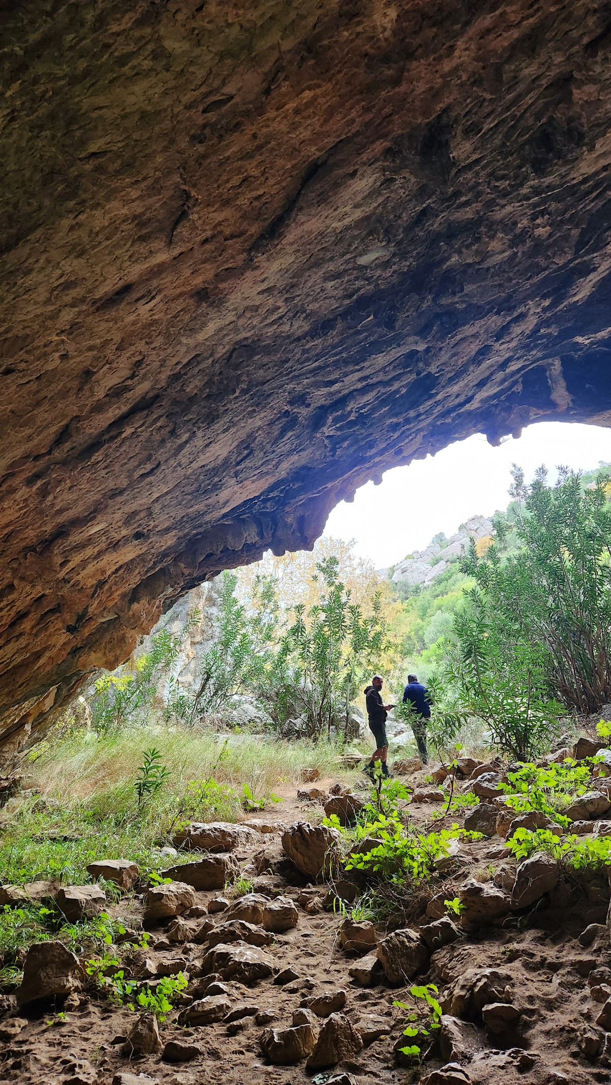 Değirmenözü Doğa Pansiyon – Fotoğraf 10