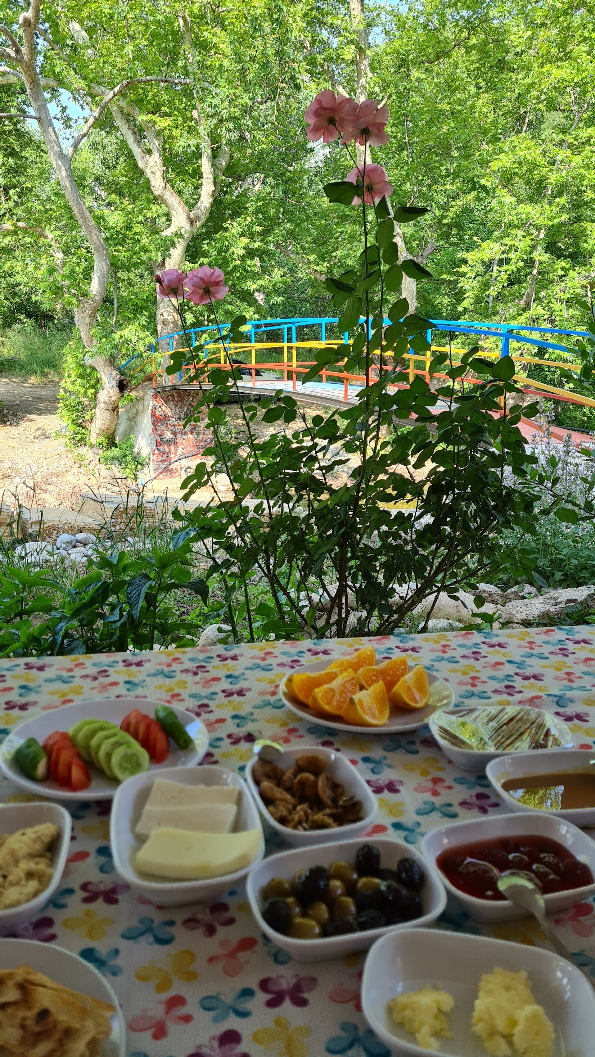 Değirmenözü Doğa Pansiyon – Fotoğraf 6