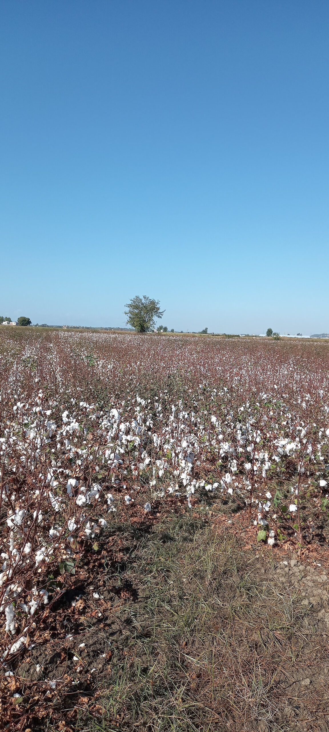 Demirciler – Fotoğraf 2