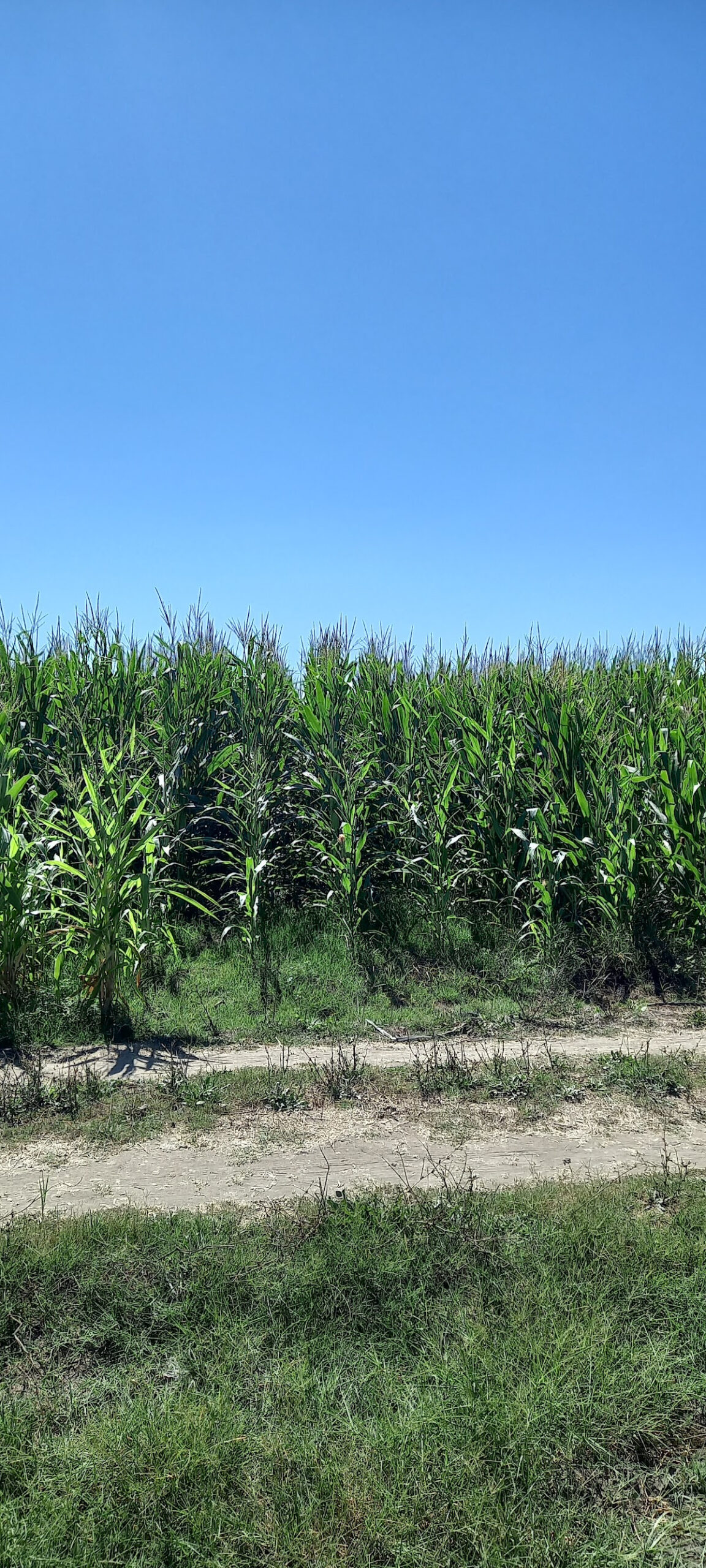 Demirciler – Fotoğraf 5