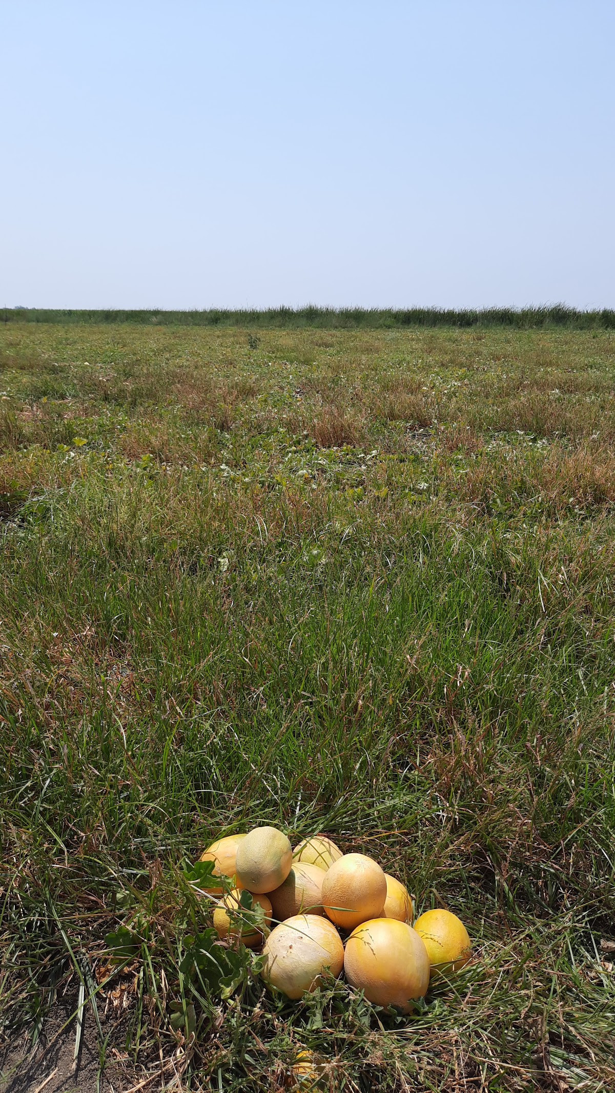 Demirciler – Fotoğraf 8