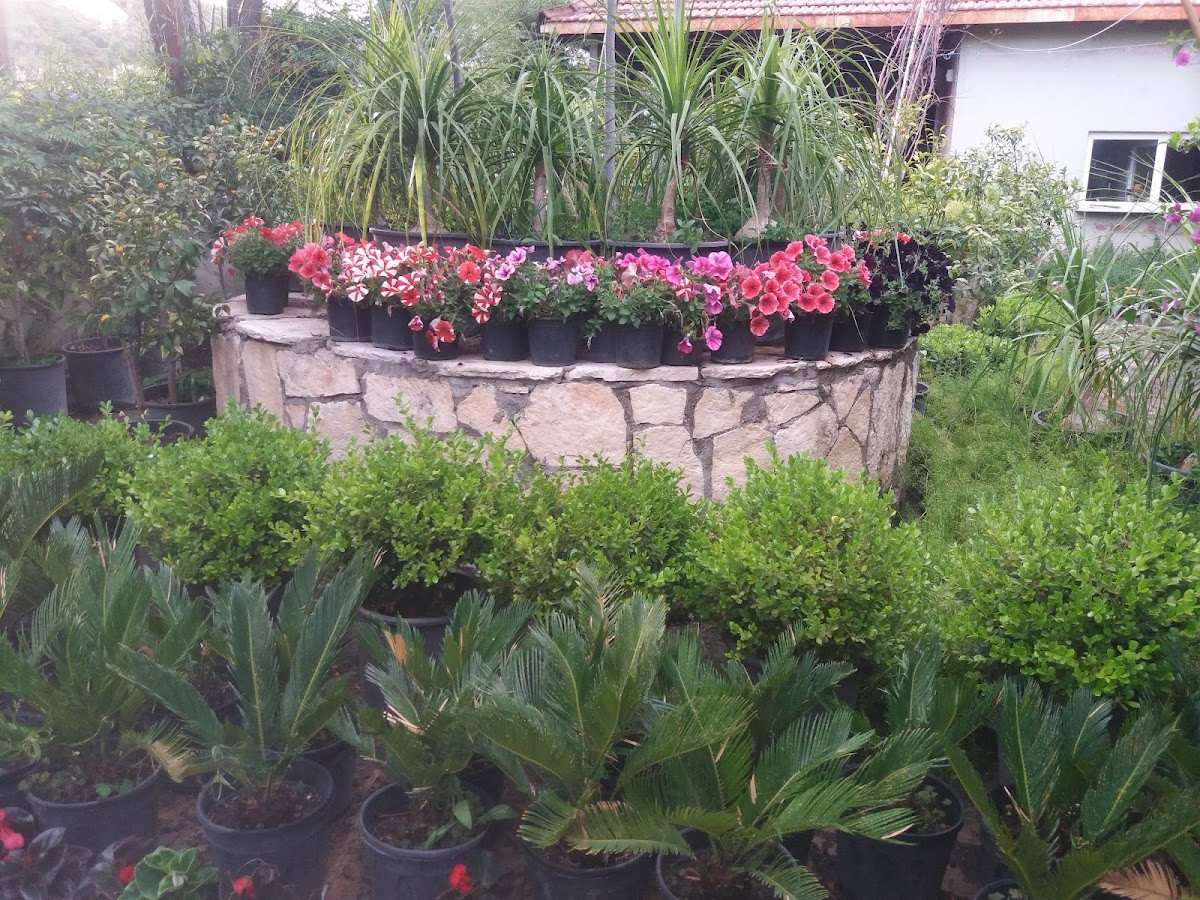 Demirkan Peyzaj & Hafriyat – Fotoğraf 9