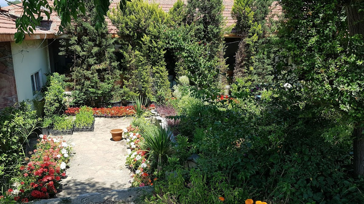 Demirkan Peyzaj & Hafriyat – Fotoğraf 7