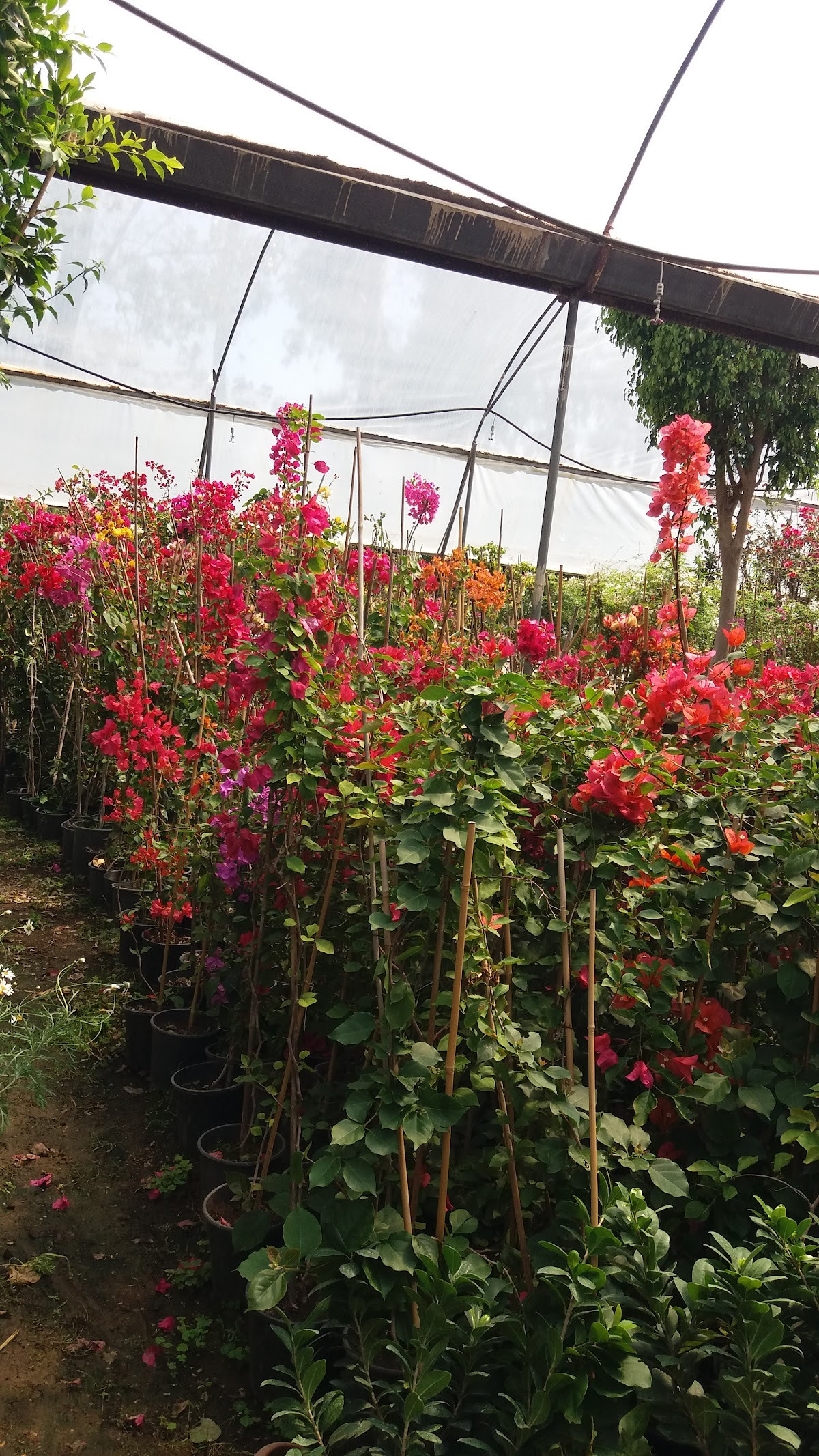 Demirkan Peyzaj & Hafriyat – Fotoğraf 2