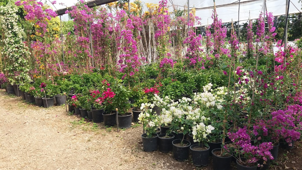 Demirkan Peyzaj & Hafriyat – Fotoğraf 10