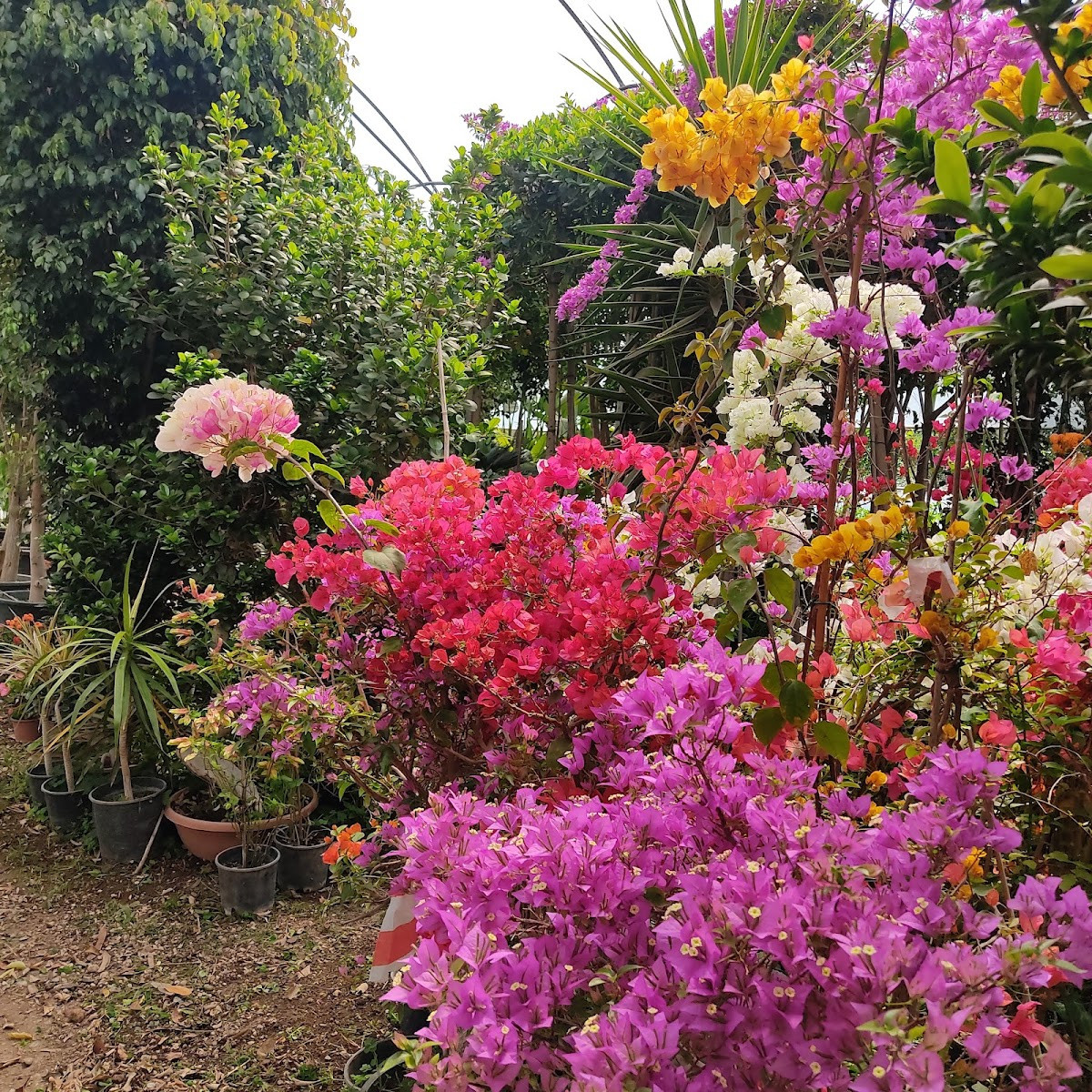 Demirkan Peyzaj & Hafriyat – Fotoğraf 4