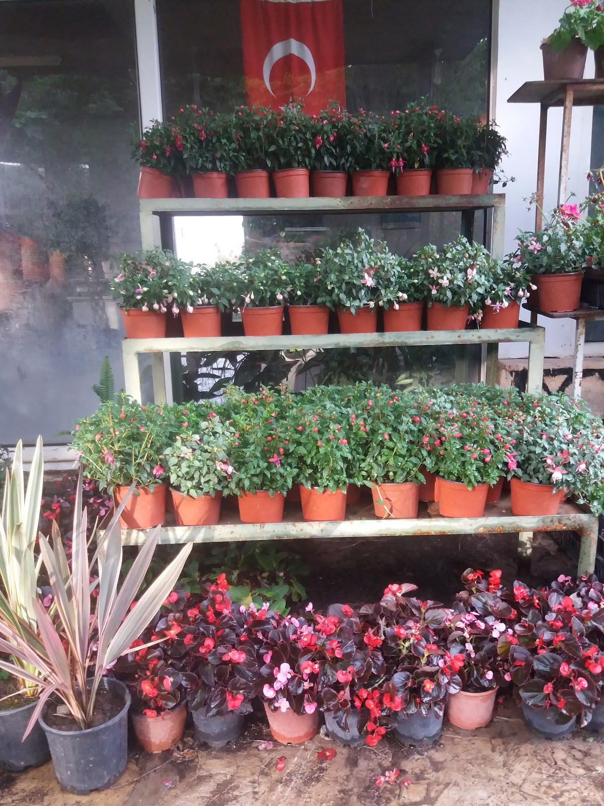 Demirkan Peyzaj & Hafriyat – Fotoğraf 3