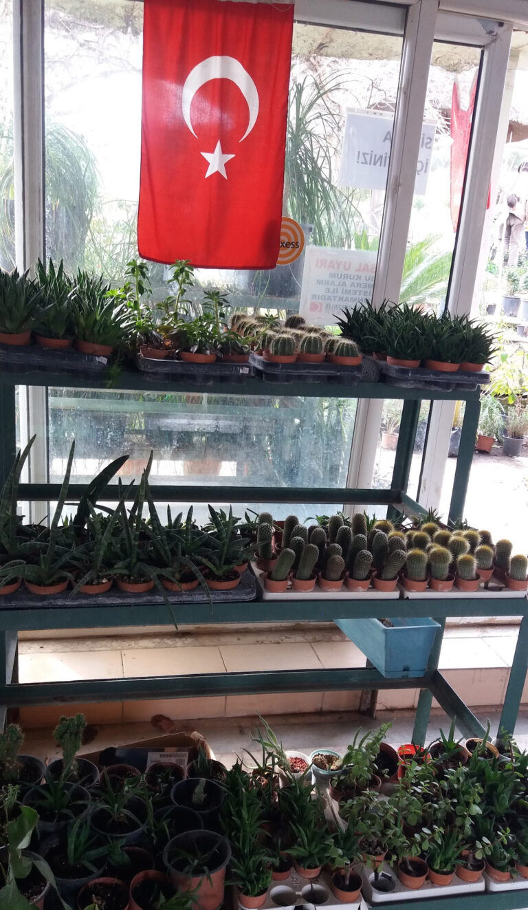 Demirkan Peyzaj & Hafriyat — Manavgat Manavgat Hafriyat