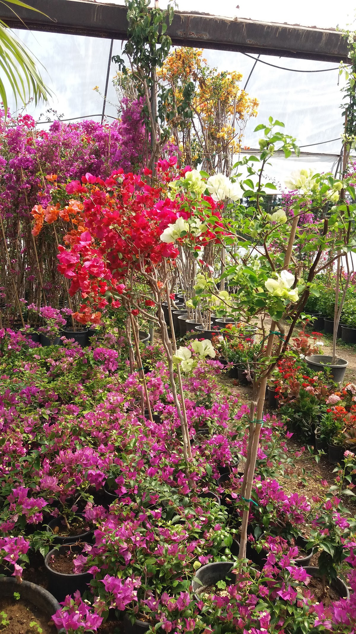 Demirkan Peyzaj & Hafriyat – Fotoğraf 8